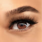 Day Lash EveryLash Magnetic Lashes